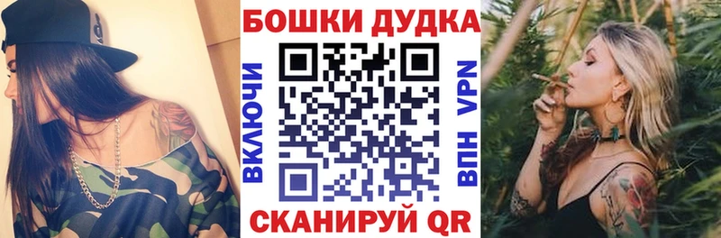 Где купить Можга APVP Бошки Шишки