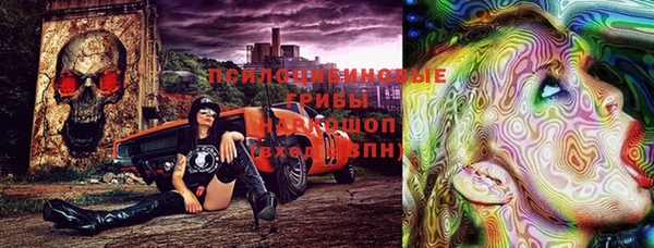 крисы Балахна