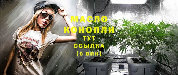 скорость Новозыбков