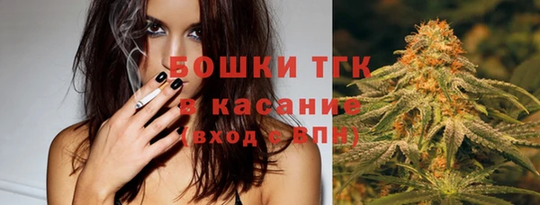 прущая мука Арсеньев