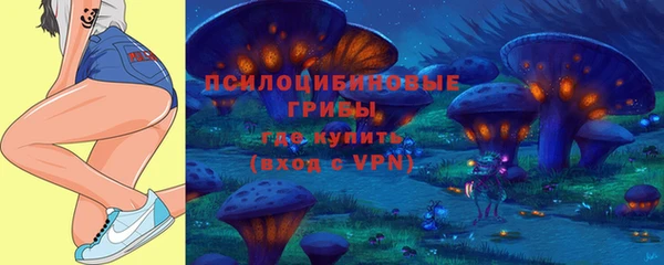 крисы Балахна