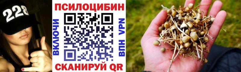 Галлюциногенные грибы Cubensis Можга